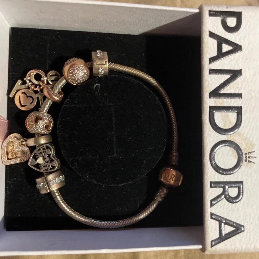 Pandora Silver and Pink Charm Bracelet with Eclectic Designs
